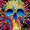 Mindtrip