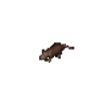 a small rat