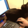 MeowsePad