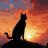 black.cat